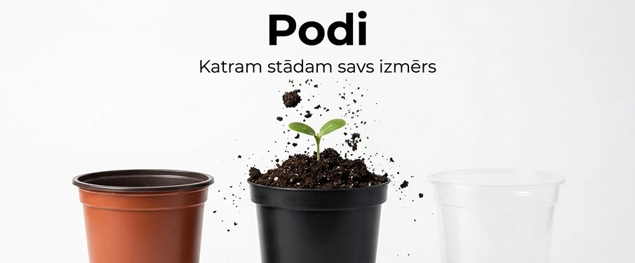 Podi