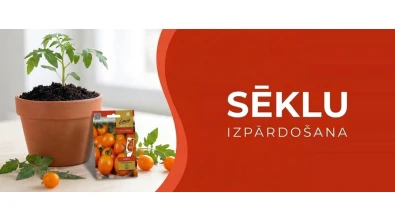 Sēklas