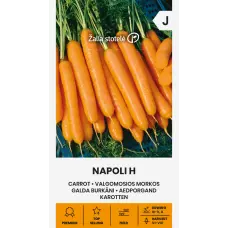Burkāni NAPOLI H 1g