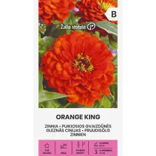 Cinnijas dāliju ORANGE KING 1g