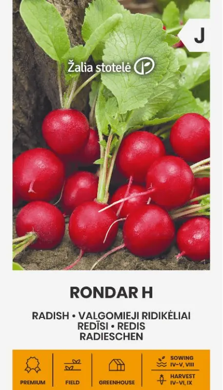 Redīsi Rondar H 3g