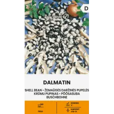 Pupiņas krūmu DALMATIN 10g