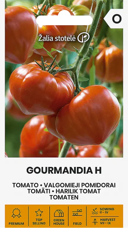 Tomāti Gourmandia H 7s