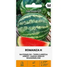 Arbūzi ROMANZA H 10s