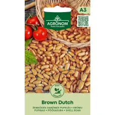Pupiņas krūmu Brown Dutch 8g (A)