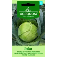 Baltie galviņkāposti Polar 2g (A)