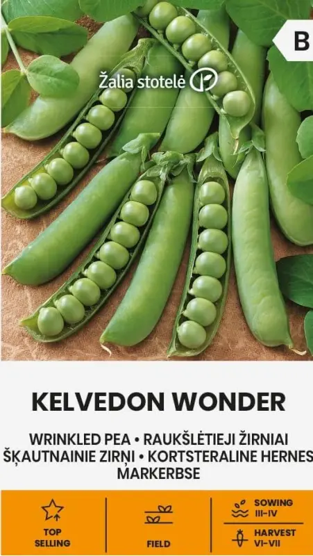 Zirņi KELVEDON WONDER 20g