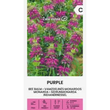 MONARDA PURPLE 0.3g