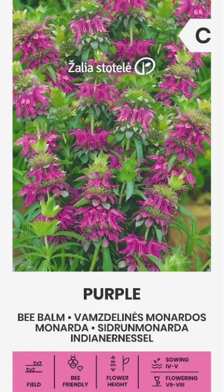 MONARDA PURPLE 0.3g