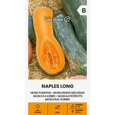 Ķirbji muskata NAPLES LONG 1.5g