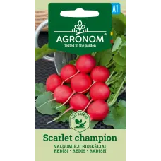 Redīsi Scarlet Champion 4g (A)