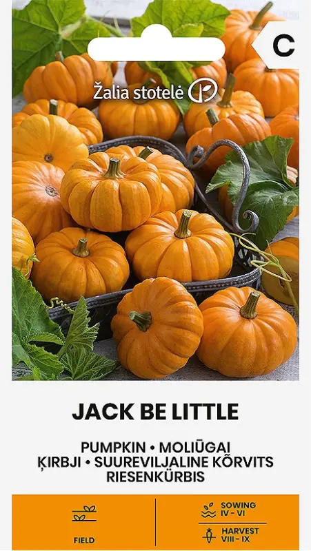 Ķirbji JACK BE LITTLE 1g