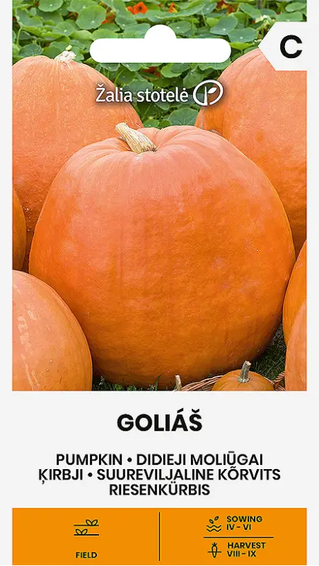 Ķirbji GOLIAŠ 2g