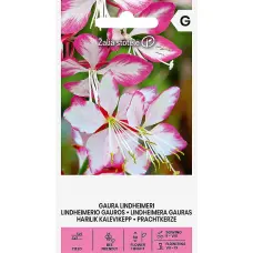 Gaura Lindheimera 0.5g