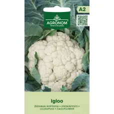 Ziedkāposti IGLOO 0.5g (A)