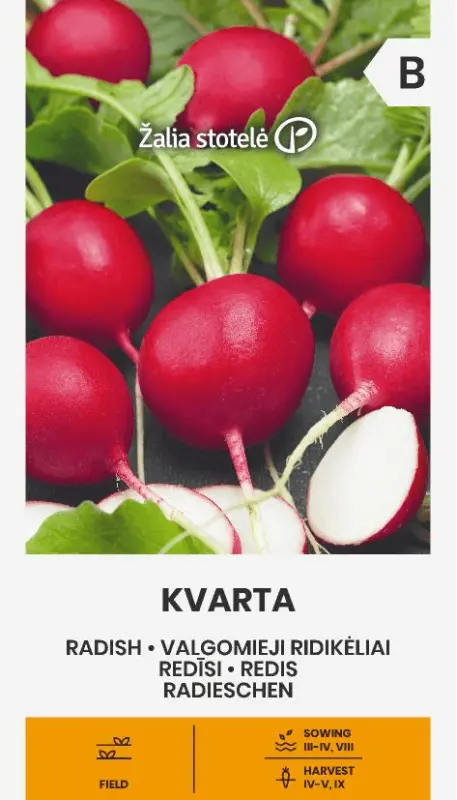 Redīsi KVARTA 3g