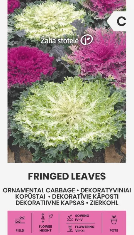 Kāposti dek. Fringed Leaves 0.3g