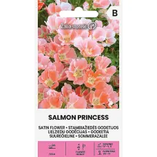 Godēcijas lielziedu SALMON PRINCESS 0.5g
